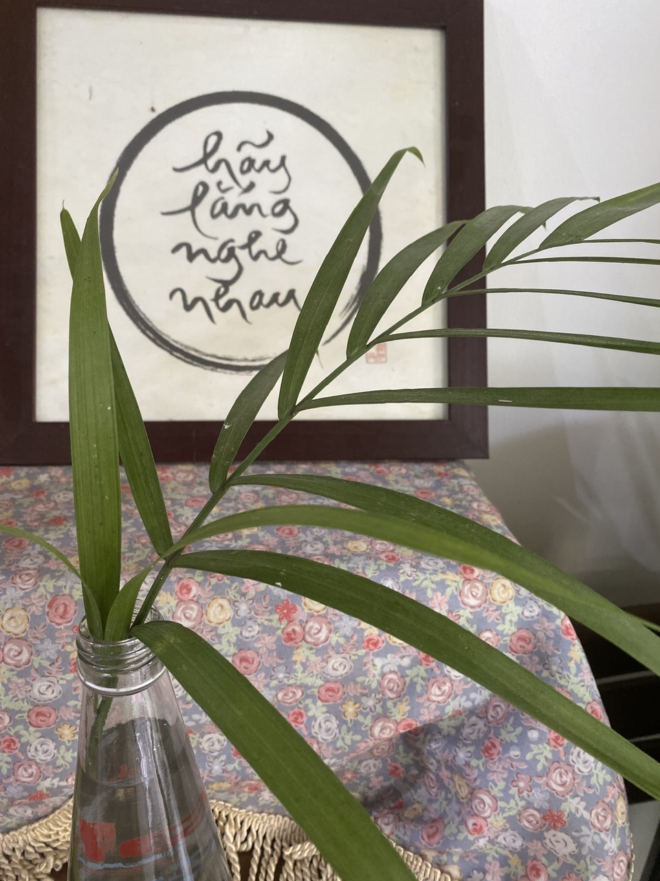 🕊️Kala’s Story – Khi Kala kể&nbsp;chuyện…🌱