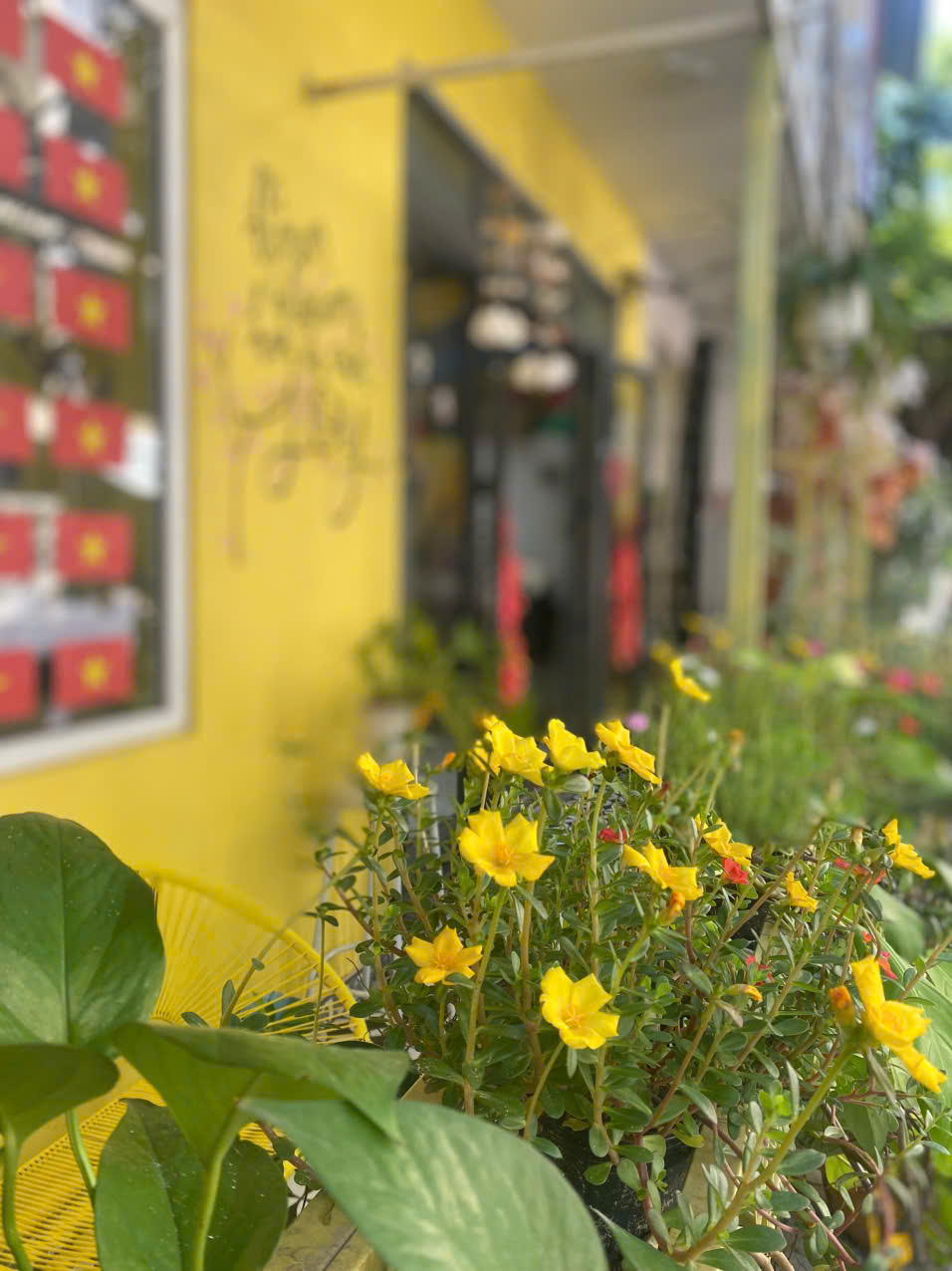 🌱 Khu vườn nở hoa ở Kala Việt Nam&nbsp;🌻