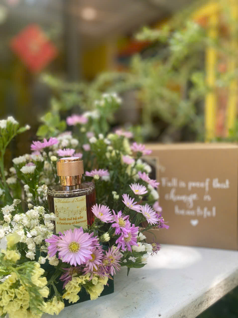 🌌 Mùi hương “Suốt thế kỷ sầu”&nbsp;🌿☁️
